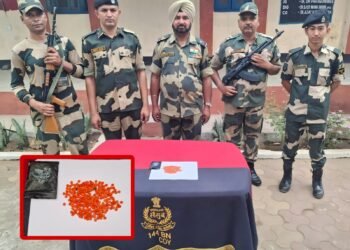 BSF recover hidden yaba tablets, rescue cattle