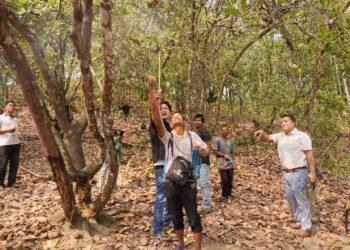 KVK holds campaigns on cashew cultivation in SGH