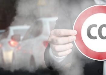 ‘Pollution biggest challenge; transport sector significant contributor’