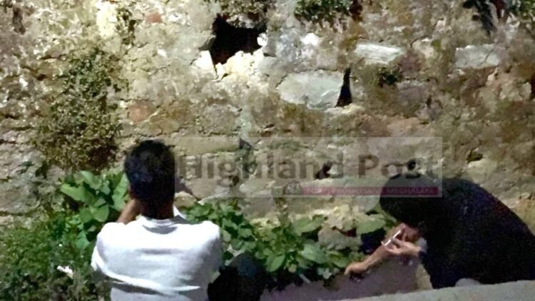 SP claims success in night patrols