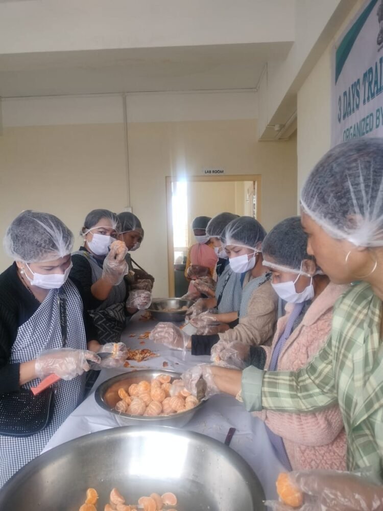 Training programme on food processing ends