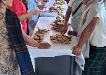 Ginger festival & awareness prog held for farmers in Tyrso