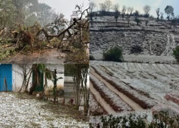 Hailstorm, strong winds strike parts of Meghalaya