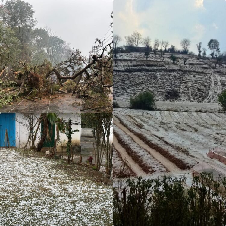 Hailstorm, strong winds strike parts of Meghalaya