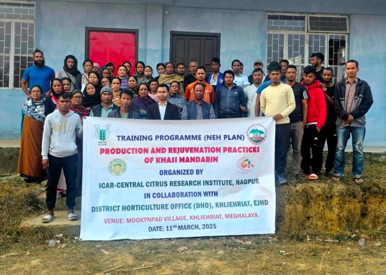 53 farmers attend training on Khasi Mandarin cultivation