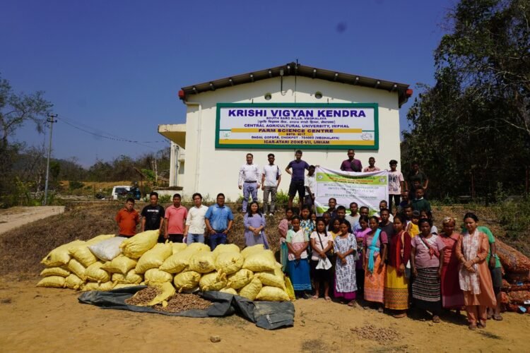 Sessions held for farmers on ginger and turmeric cultivation