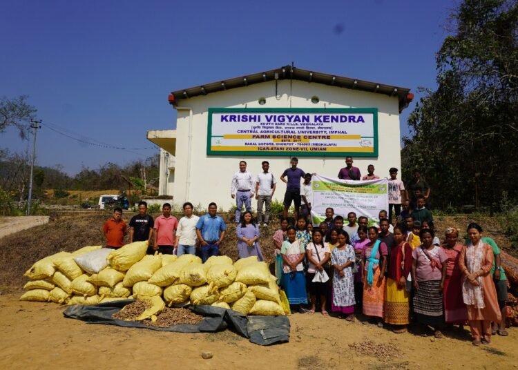 Sessions held for farmers on ginger and turmeric cultivation