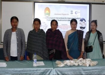 Awareness prog held on use of nanotechnology for mushroom productivity