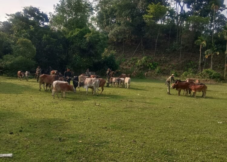BSF troops foil cattle smuggling bid