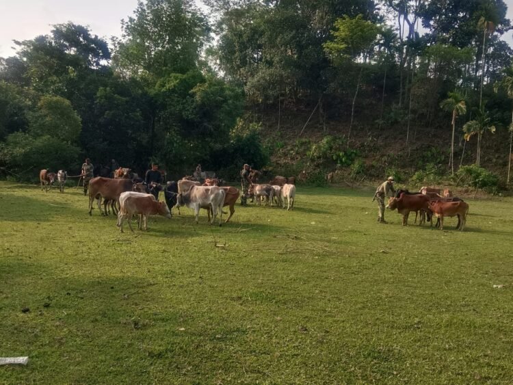 BSF troops foil cattle smuggling bid