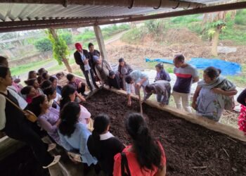Getting the worm: Villagers gain experience of vermicomposting
