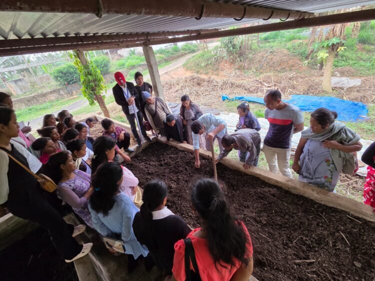 Getting the worm: Villagers gain experience of vermicomposting