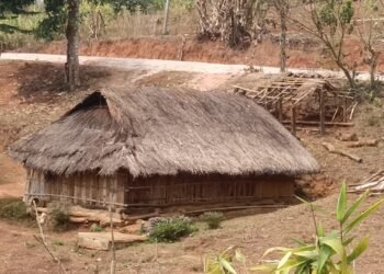 Meghalaya selected to benefit from Vibrant Villages Programme