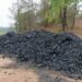 Rampant felling of trees for charcoal in SWKH raises concern