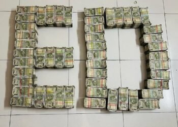 Illegal rat mining rampant in Meghalaya; Assam syndicate involved: ED