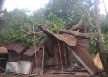 SWKH bears brunt of severe weather