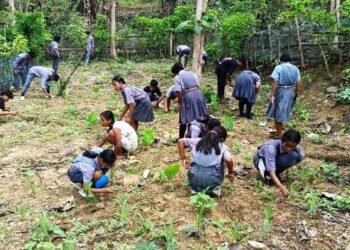 School Nutrition Garden Day observed in SWGH