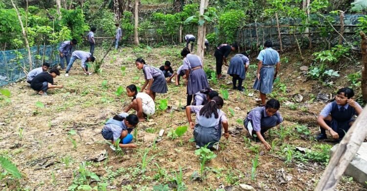 School Nutrition Garden Day observed in SWGH