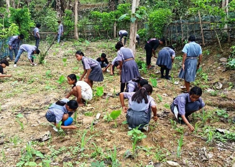 School Nutrition Garden Day observed in SWGH