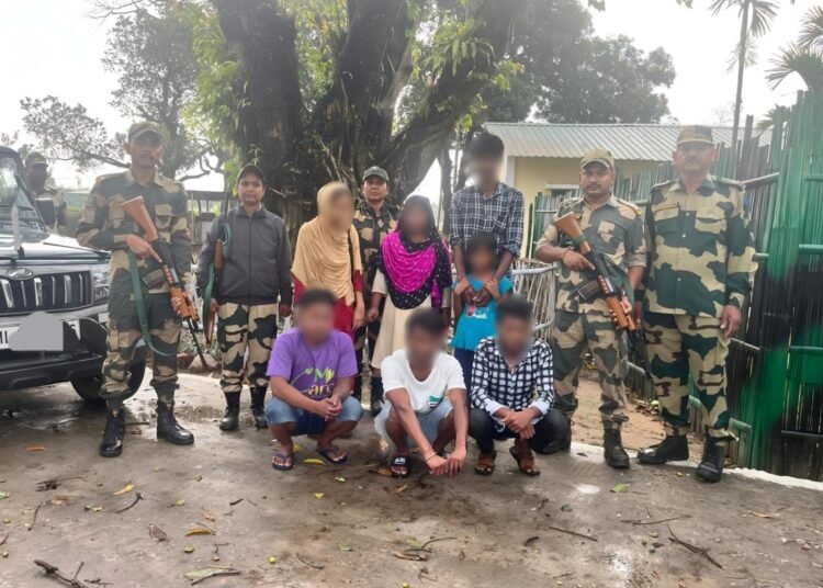 BSF picks up 5 Bangladeshi illegals, 2 Indian helpers