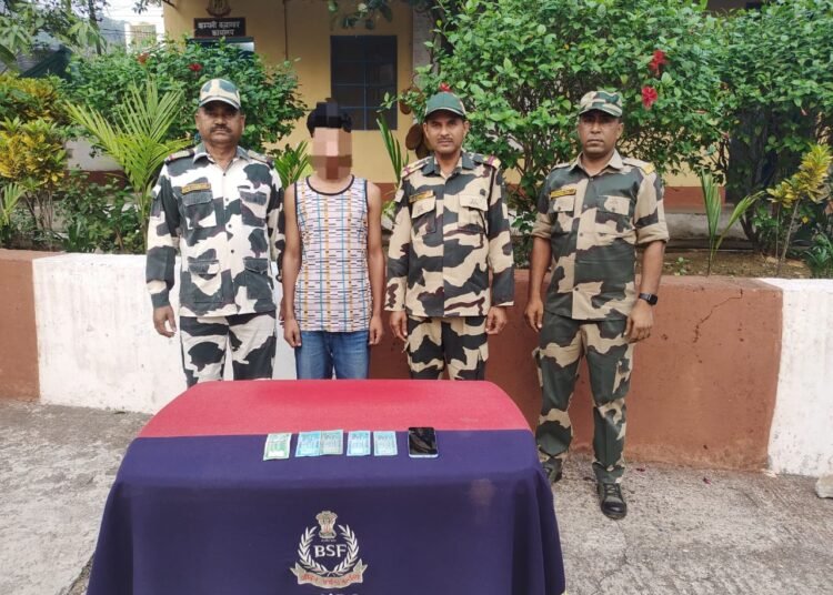 BSF Meghalaya troops apprehend Bangladeshi tout