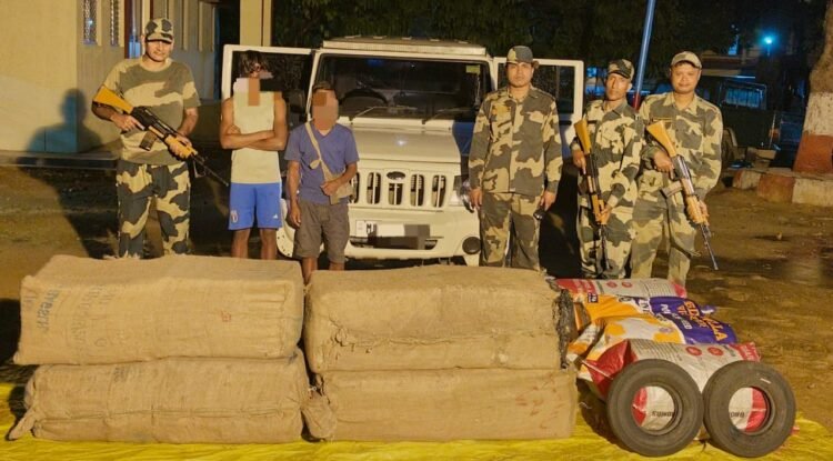 BSF seizes contraband, foils cattle smuggling attempt