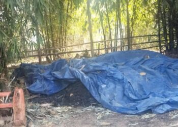 Forum peeved with inaction on illegal brick kiln in EGH