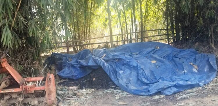 Forum peeved with inaction on illegal brick kiln in EGH