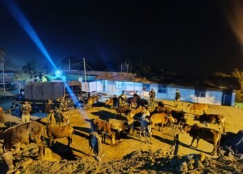 Goods worth Rs 17 lakh seized, illegal B’desh migrant nabbed by BSF