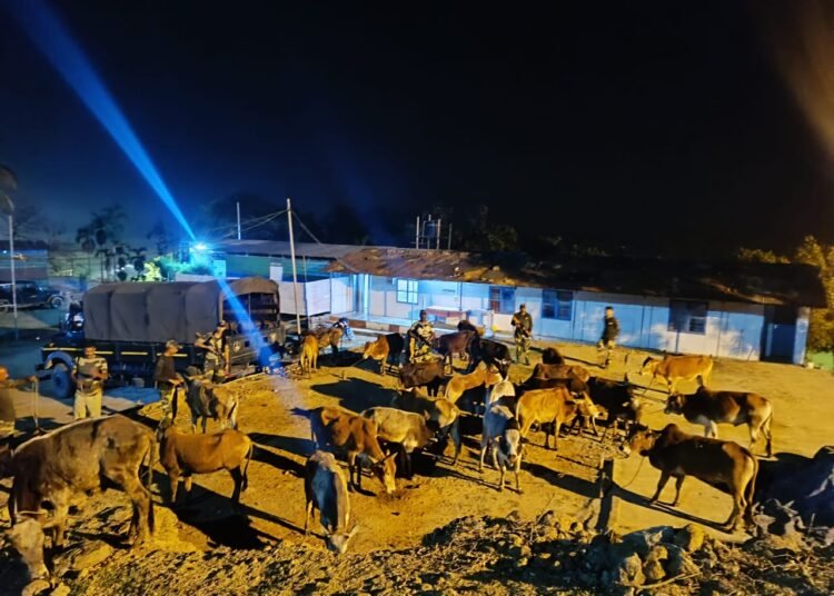 Goods worth Rs 17 lakh seized, illegal B’desh migrant nabbed by BSF