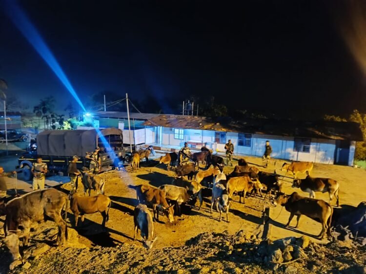 Goods worth Rs 17 lakh seized, illegal B’desh migrant nabbed by BSF