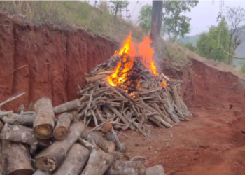 Electrocuted elephant’s carcass disposed of