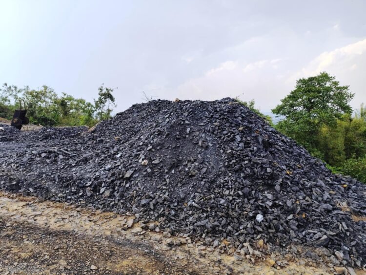 3000 MT illegal coal seized from forest in EJH