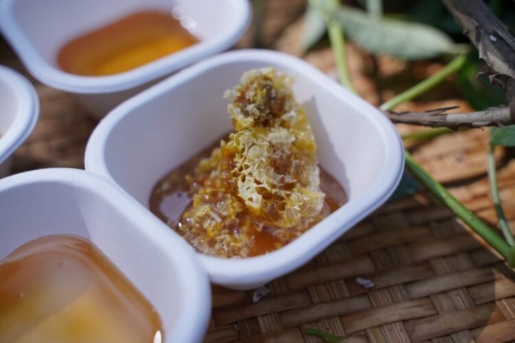 NESFAS buzzing on World Bee Day