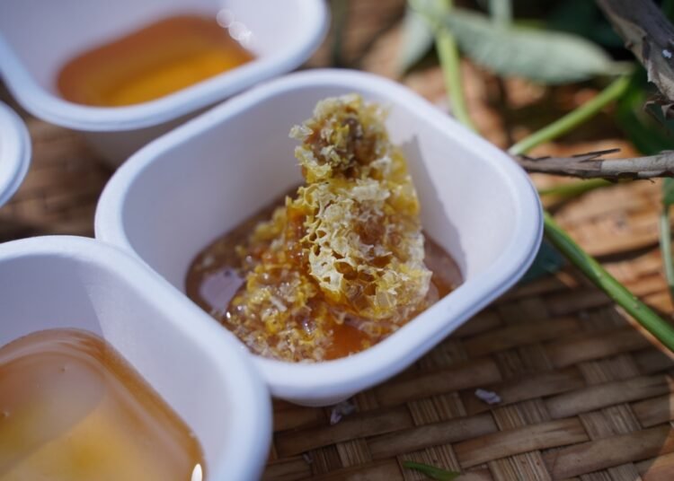 NESFAS buzzing on World Bee Day