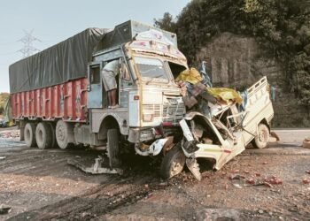 Driver speeding on wrong side of highway killed