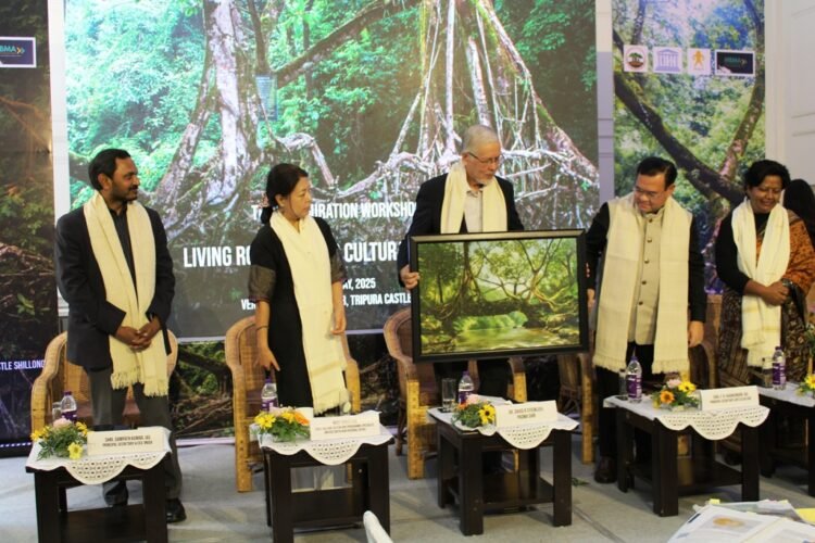 UNESCO hails Govt for promoting root bridges as cultural treasure