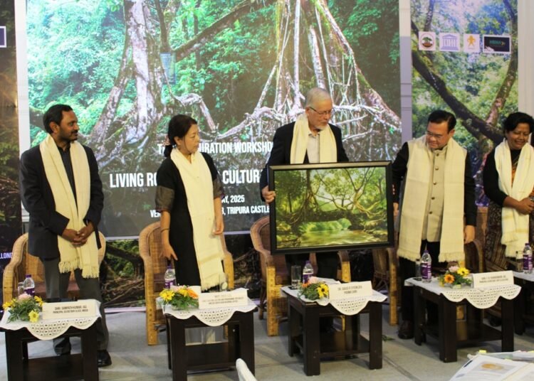 UNESCO hails Govt for promoting root bridges as cultural treasure