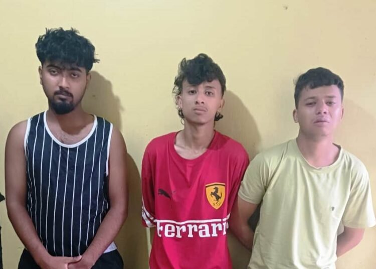 3 drug peddlers arrested in Ri Bhoi
