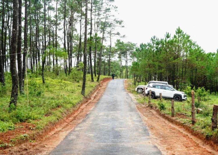 CM inaugurates Hubert Rosario Road in Mookaswan