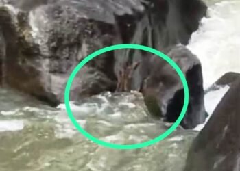 Body found floating in Umngi amid search for missing angler