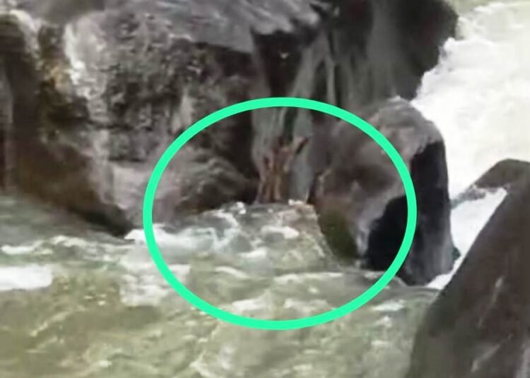 Body found floating in Umngi amid search for missing angler