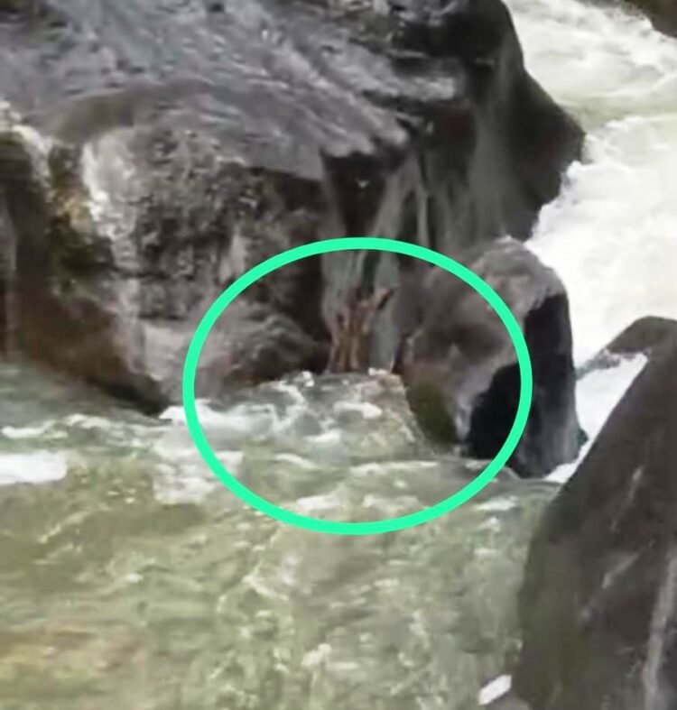 Body found floating in Umngi amid search for missing angler