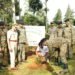 CRPF organises tree plantation drive