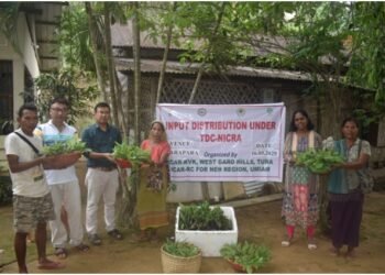 KVK holds input distribution programme