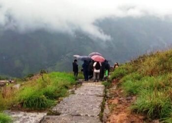 Search for missing tourists continues; ‘slowness’ frustrating for family; media hype condemned