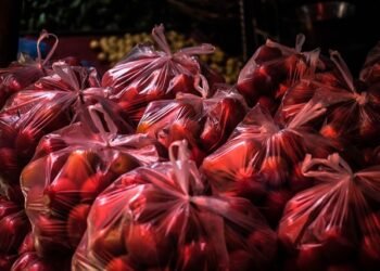No real action taken to remove plastics from market: High Court