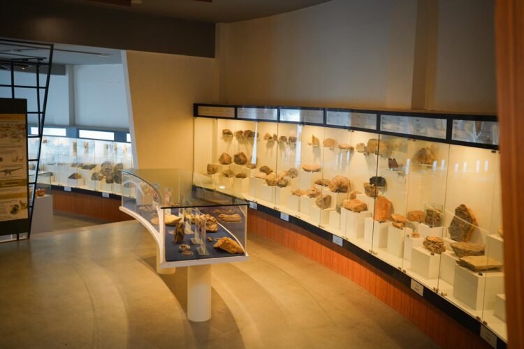 Modern, immersive, impressive: Revamped State Museum opens