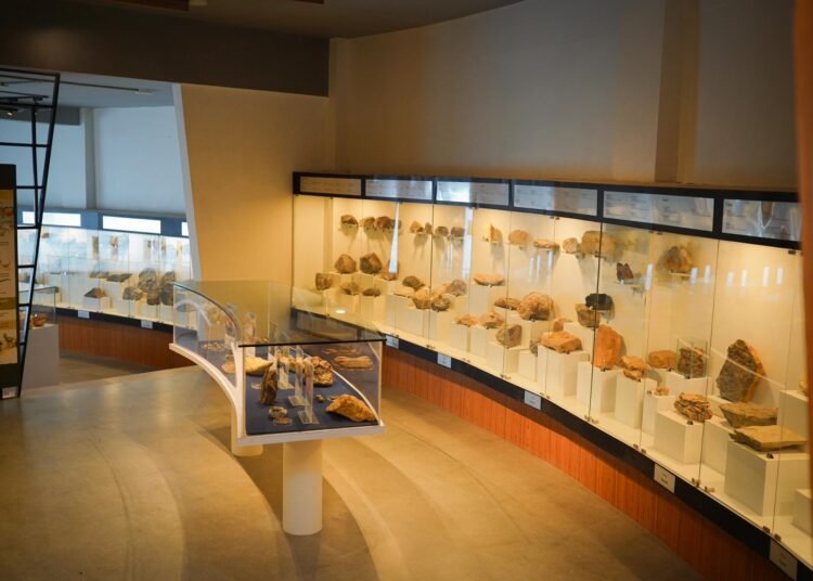 Modern, immersive, impressive: Revamped State Museum opens