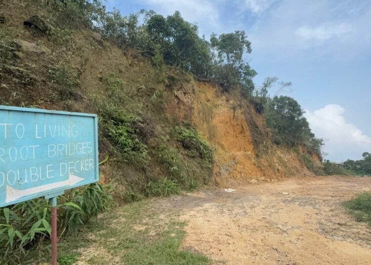 Sonam & Raja were with 3 other tourists on day they vanished, says tour guide